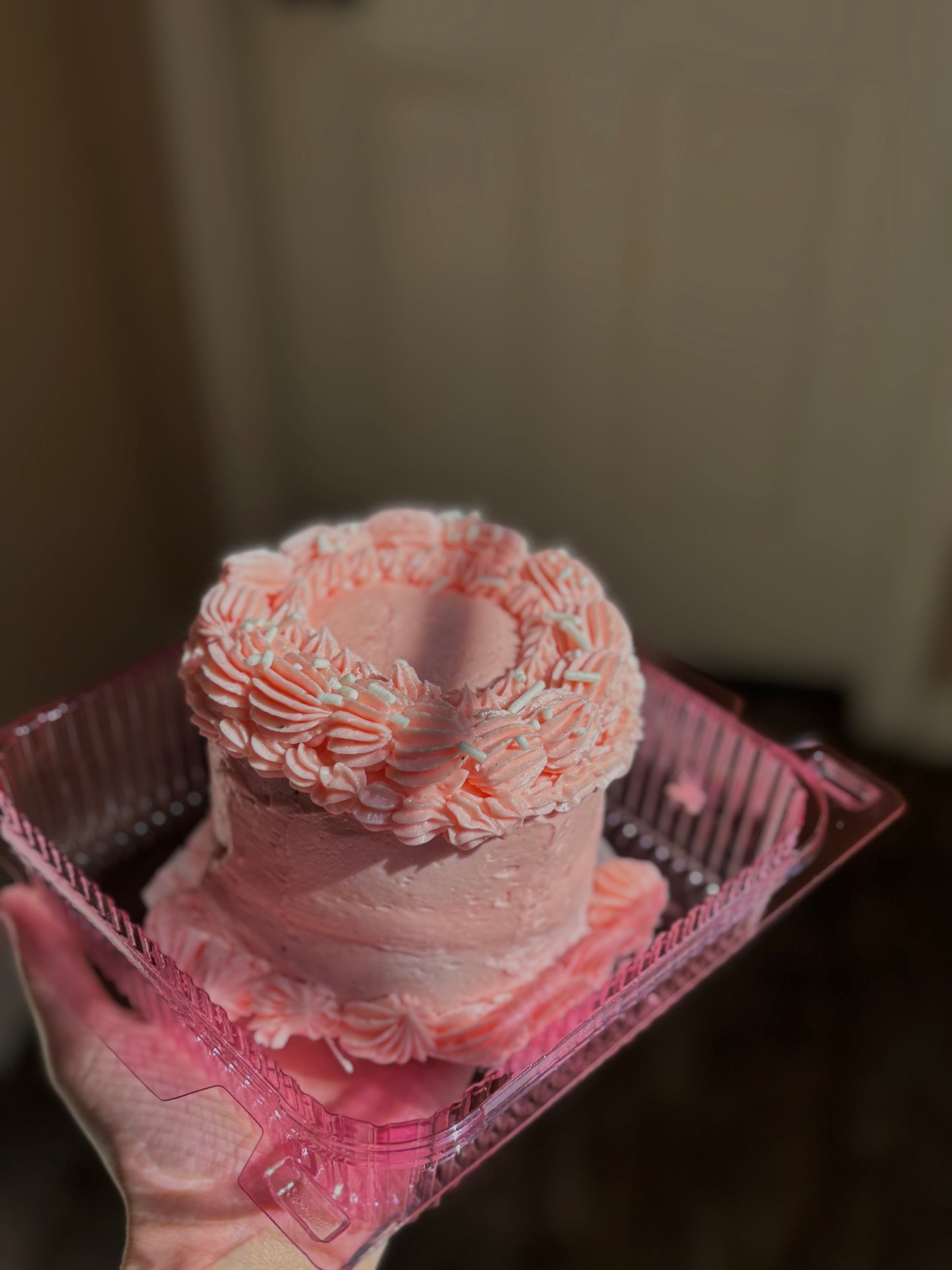 bento cakes